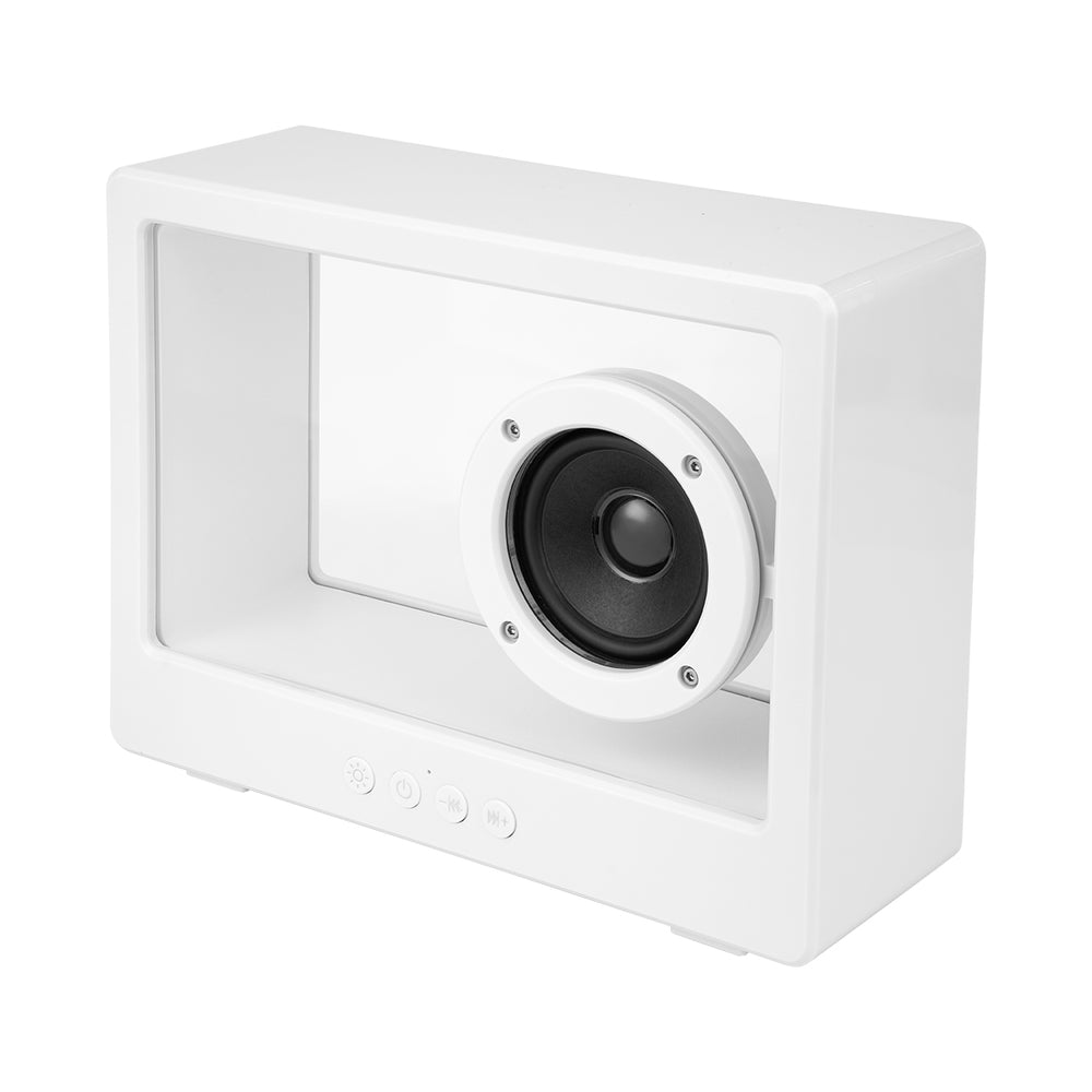 Visionary Light Up Speaker