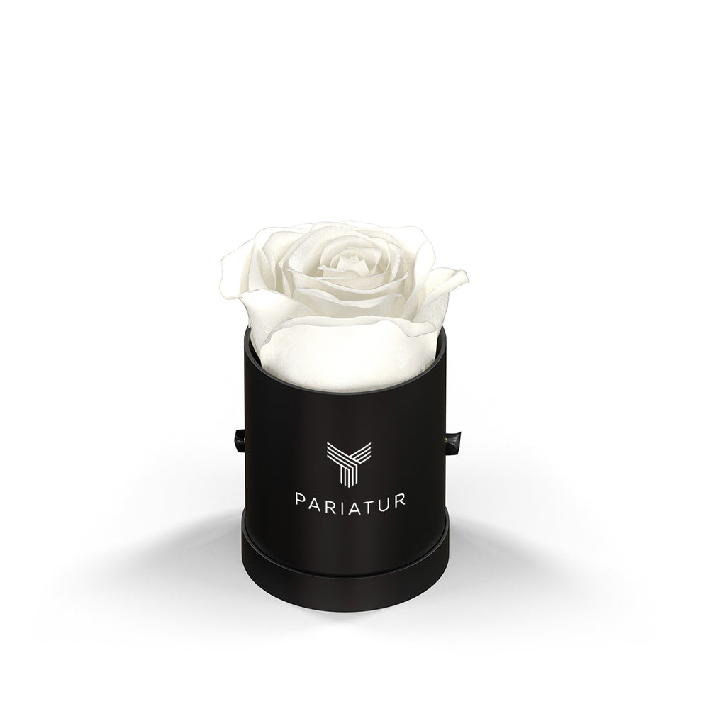 Classique by VeF Le Mini™ Round