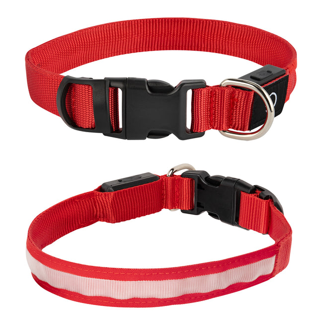 Light Up Rechargeable Pet Collar - Medium